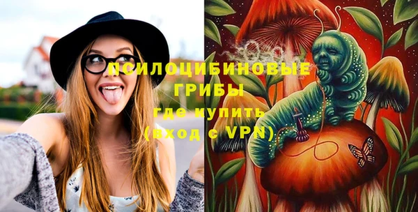 стафф Дмитров