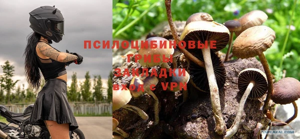 сатива Дмитриев