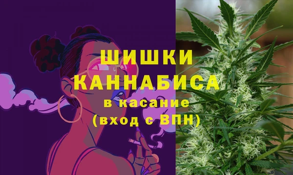 мдпв Горно-Алтайск