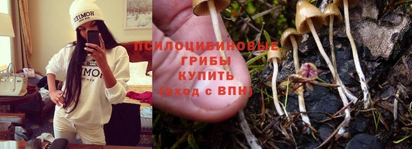 мескалин Вяземский