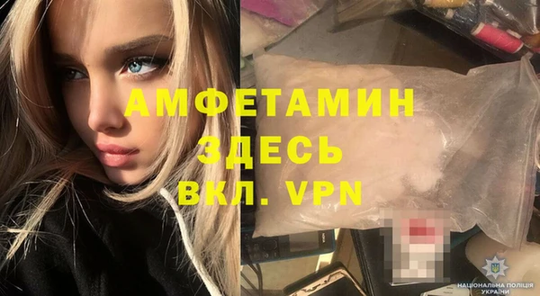 сатива Дмитриев