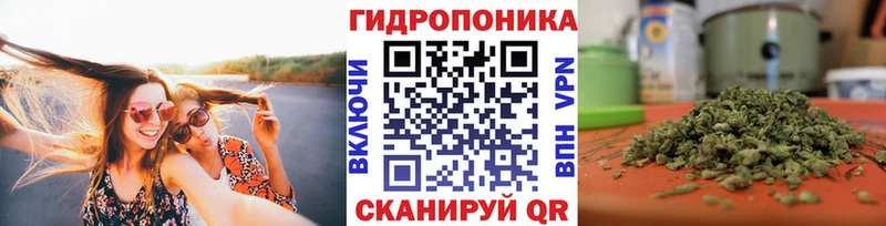 купить наркотики сайты  Дегтярск  Конопля THC 21% 
